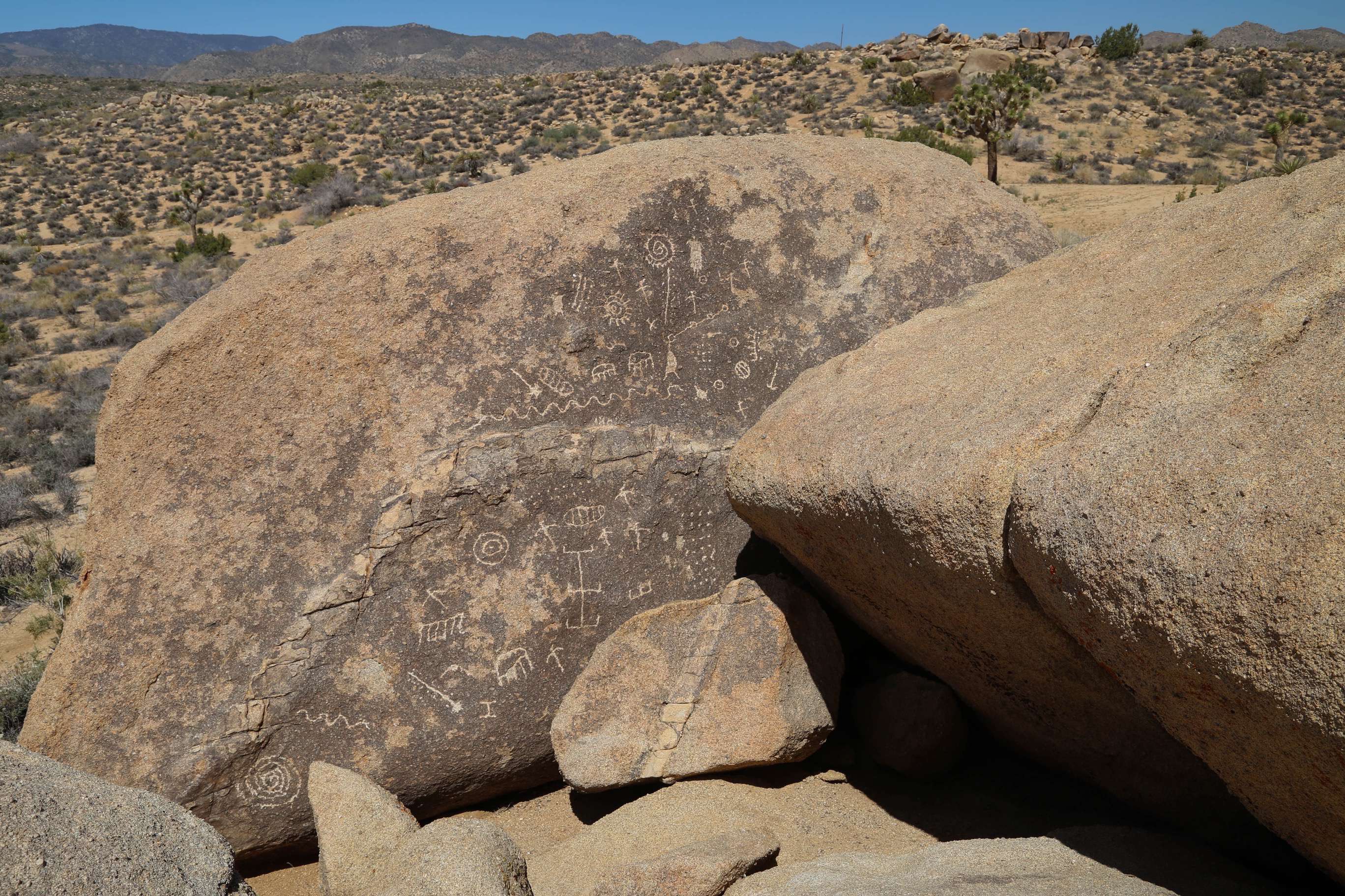 Locals who know the area well can lead you to the site of these petroglyphs.