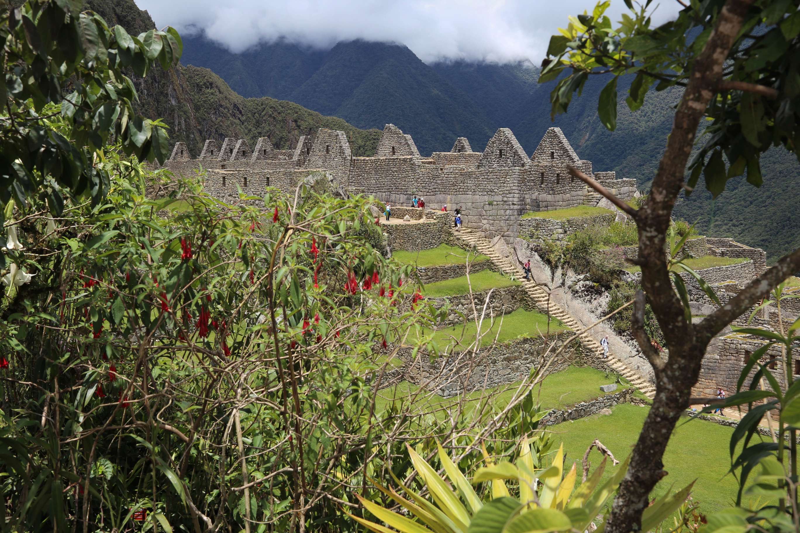 From a distance and with foliage in the foreground, Machu Picchu's harmony with Nature and its surroundings is readily apparent.